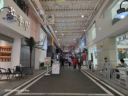 綠廠再次玩出花 新旗艦創新拍攝玩法，顯微鏡和廣角表現亮了
